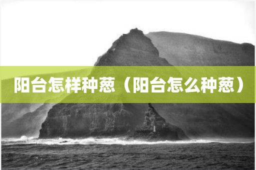 阳台怎样种葱（阳台怎么种葱）