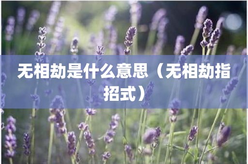 无相劫是什么意思（无相劫指招式）