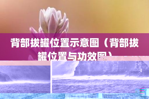 背部拔罐位置示意图（背部拔罐位置与功效图）