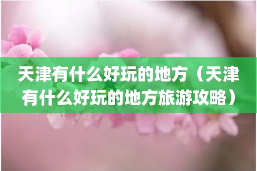 天津有什么好玩的地方（天津有什么好玩的地方旅游攻略）