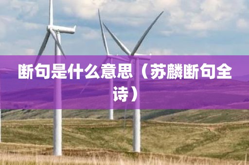 断句是什么意思（苏麟断句全诗）