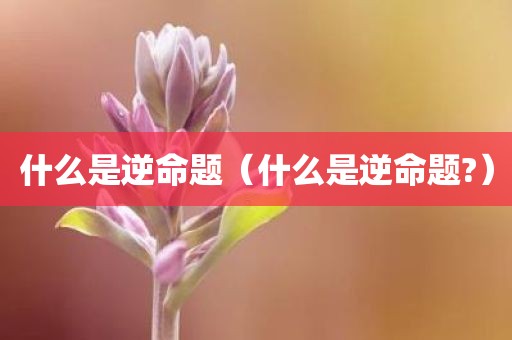 什么是逆命题（什么是逆命题?）