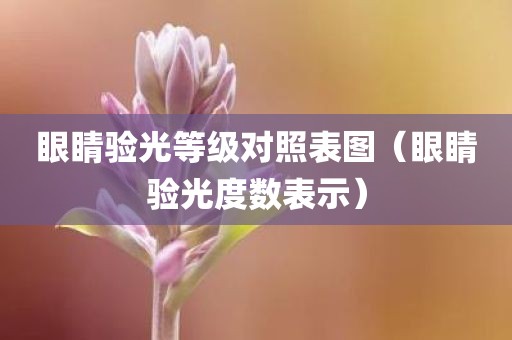 眼睛验光等级对照表图（眼睛验光度数表示）