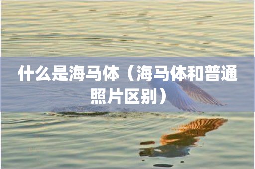 什么是海马体（海马体和普通照片区别）