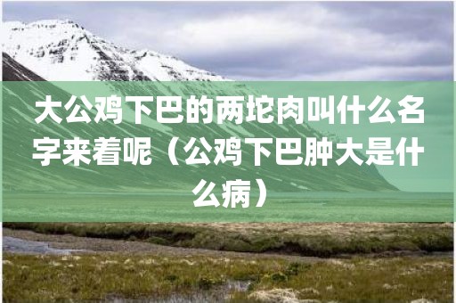 大公鸡下巴的两坨肉叫什么名字来着呢（公鸡下巴肿大是什么病）
