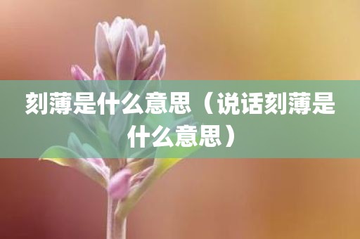 刻薄是什么意思（说话刻薄是什么意思）