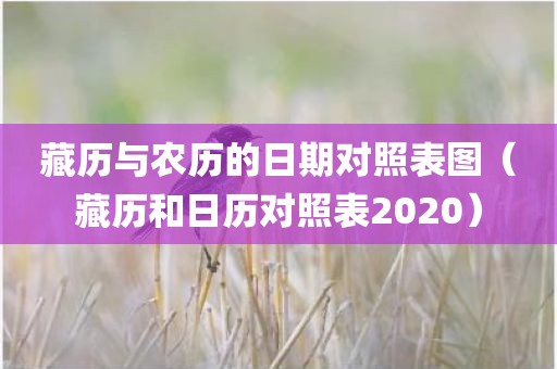 藏历与农历的日期对照表图（藏历和日历对照表2020）