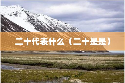 二十代表什么（二十是是）