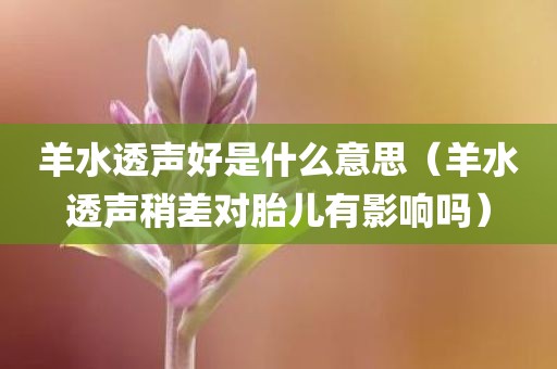 羊水透声好是什么意思（羊水透声稍差对胎儿有影响吗）