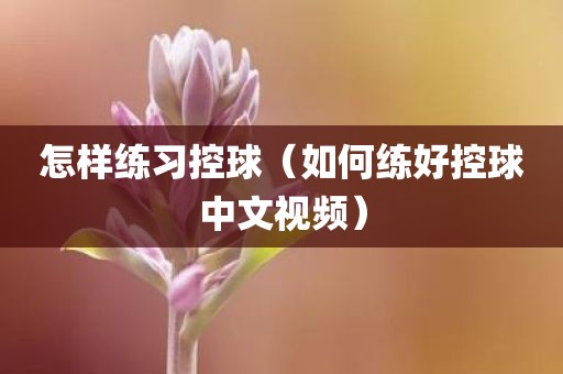 怎样练习控球（如何练好控球中文视频）