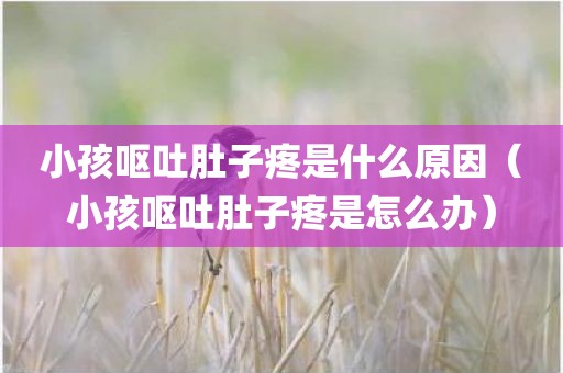 小孩呕吐肚子疼是什么原因（小孩呕吐肚子疼是怎么办）