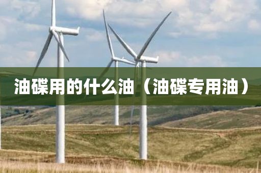 油碟用的什么油（油碟专用油）