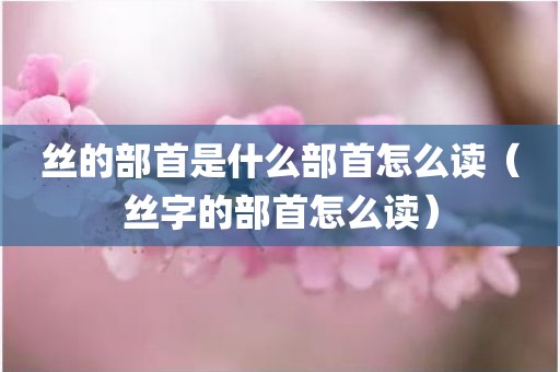 丝的部首是什么部首怎么读（丝字的部首怎么读）