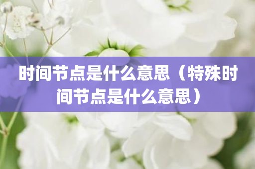 时间节点是什么意思（特殊时间节点是什么意思）
