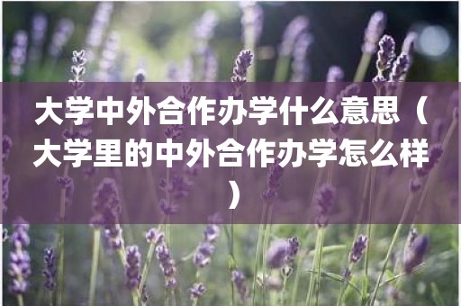 大学中外合作办学什么意思（大学里的中外合作办学怎么样）