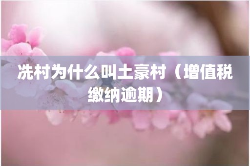 冼村为什么叫土豪村(增值税缴纳逾期)