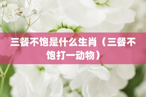 三餐不饱是什么生肖（三餐不饱打一动物）