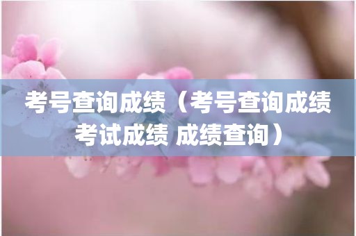 考号查询成绩(考号查询成绩考试成绩 成绩查询)