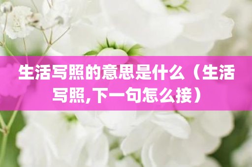 生活写照的意思是什么（生活写照,下一句怎么接）