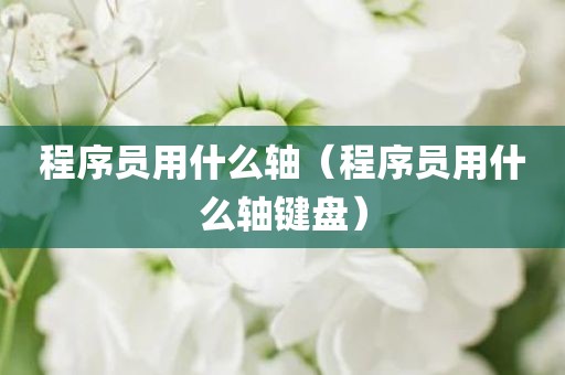 程序员用什么轴（程序员用什么轴键盘）