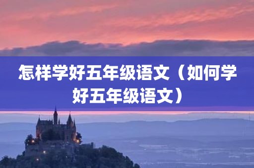 怎样学好五年级语文（如何学好五年级语文）