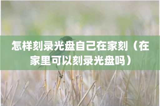 怎样刻录光盘自己在家刻（在家里可以刻录光盘吗）