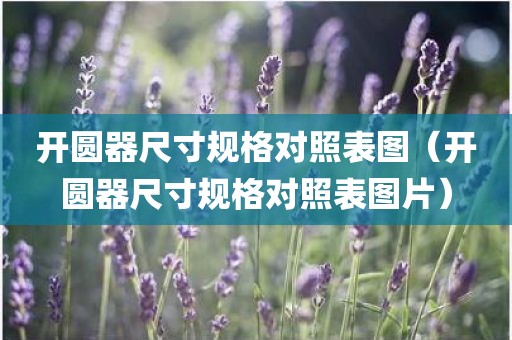 开圆器尺寸规格对照表图（开圆器尺寸规格对照表图片）