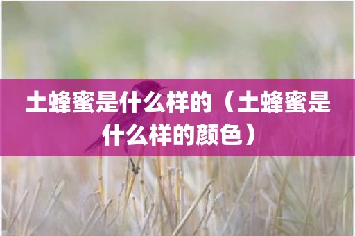 土蜂蜜是什么样的（土蜂蜜是什么样的颜色）