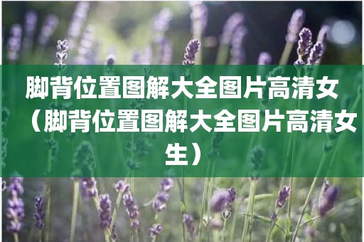 脚背位置图解大全图片高清女（脚背位置图解大全图片高清女生）
