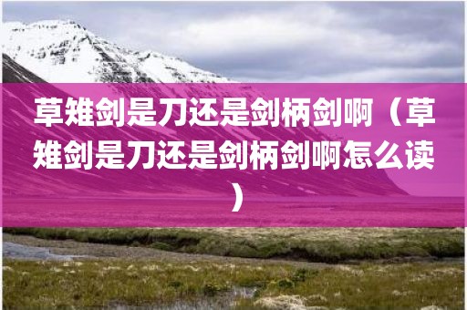 草雉剑是刀还是剑柄剑啊（草雉剑是刀还是剑柄剑啊怎么读）