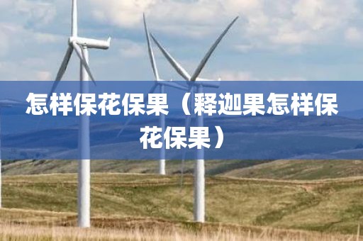 怎样保花保果（释迦果怎样保花保果）