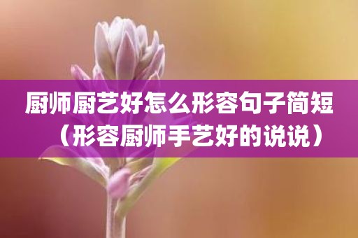 厨师厨艺好怎么形容句子简短（形容厨师手艺好的说说）