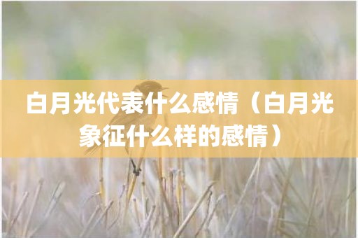 白月光代表什么感情（白月光象征什么样的感情）