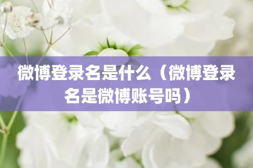 微博登录名是什么（微博登录名是微博账号吗）