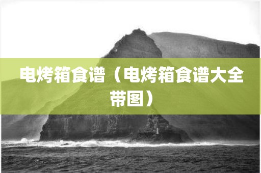 电烤箱食谱（电烤箱食谱大全带图）