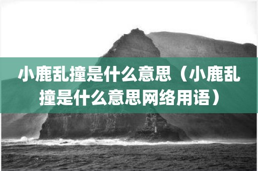 小鹿乱撞是什么意思（小鹿乱撞是什么意思网络用语）