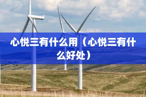 心悦三有什么用（心悦三有什么好处）