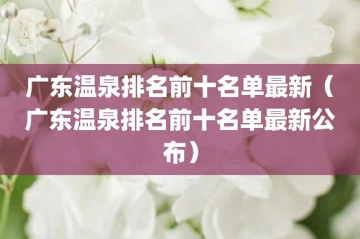 广东温泉排名前十名单最新（广东温泉排名前十名单最新公布）