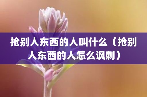 抢别人东西的人叫什么（抢别人东西的人怎么讽刺）
