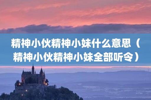 精神小伙精神小妹什么意思（精神小伙精神小妹全部听令）