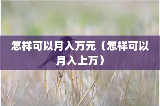 怎样可以月入万元（怎样可以月入上万）