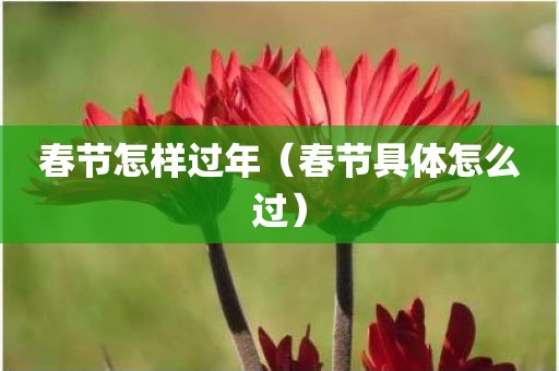 春节怎样过年（春节具体怎么过）