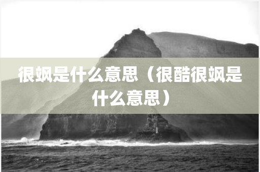 很飒是什么意思（很酷很飒是什么意思）