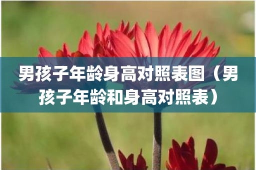 男孩子年龄身高对照表图（男孩子年龄和身高对照表）