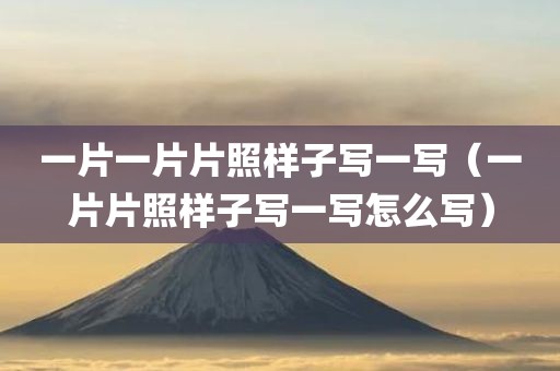 一片一片片照样子写一写（一片片照样子写一写怎么写）