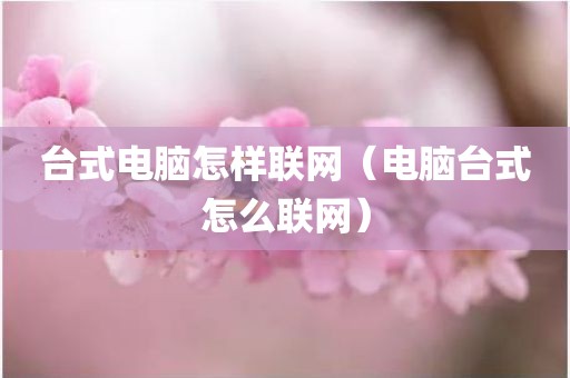 台式电脑怎样联网(电脑台式怎么联网) 台式电脑怎样联网(电脑台式怎么联网)