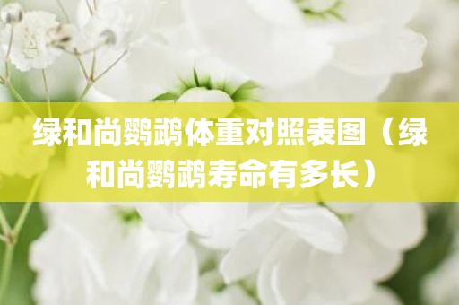 绿和尚鹦鹉体重对照表图（绿和尚鹦鹉寿命有多长）