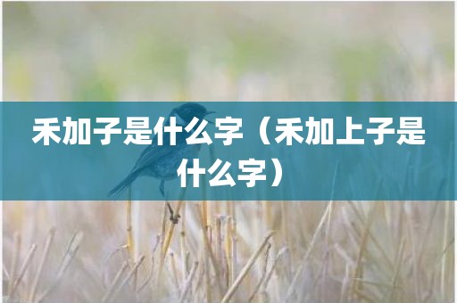 禾加子是什么字（禾加上子是什么字）