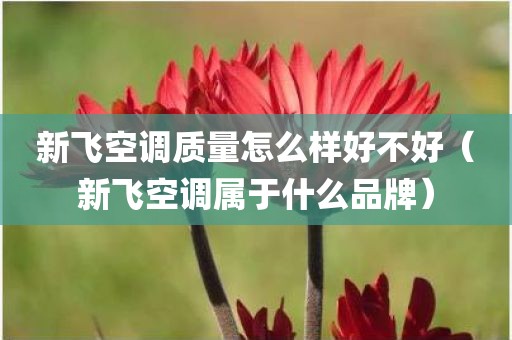 新飞空调质量怎么样好不好（新飞空调属于什么品牌）