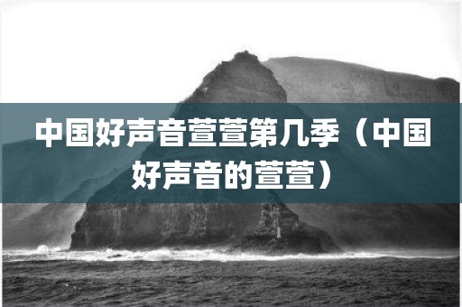 中国好声音萱萱第几季（中国好声音的萱萱）